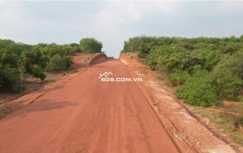 BÁN ĐẤT NỀN MẶT TIỀN ĐƯỜNG XUYÊN TÂM ĐỒNG PHÚ BÌNH PHƯỚC GIÁ CHỈ 3XX