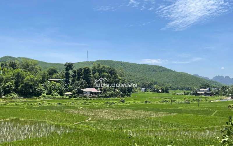 Tôi chính chủ cần bán gấp 700m thổ cư view cực đẹp, giá cực rẻ tại Kim Bôi Hòa Bình