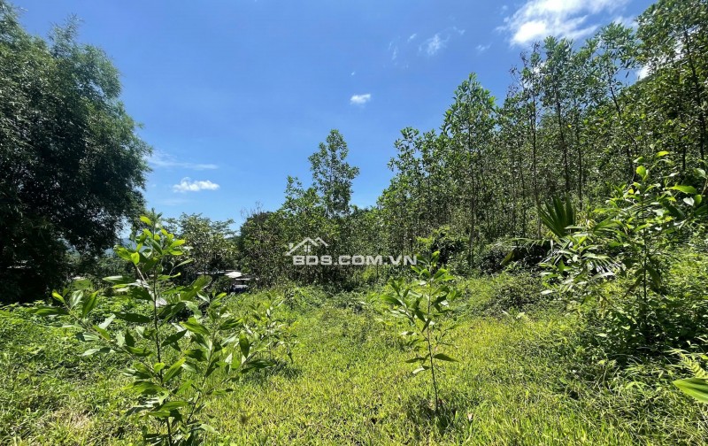 Tôi chính chủ cần bán gấp 700m thổ cư view cực đẹp, giá cực rẻ tại Kim Bôi Hòa Bình