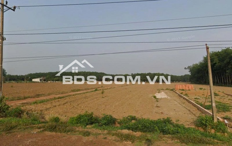 BÁN ĐẤT NỀN MẶT TIỀN ĐƯỜNG XUYÊN TÂM ĐỒNG PHÚ BÌNH PHƯỚC GIÁ CHỈ 3XX