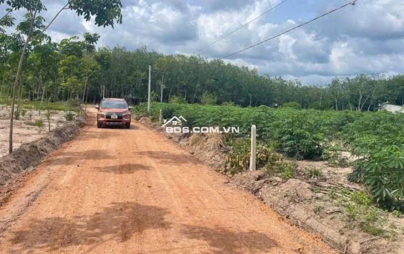  490 TRIỆU – BÁN GẤP 2000m² ĐẤT GẦN ĐƯỜNG 65M 