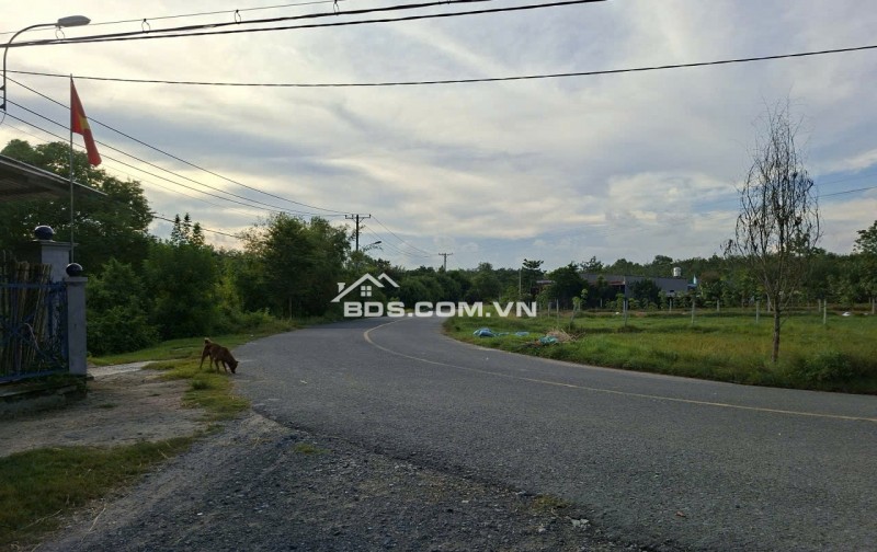 Cần sang gấp lô đất cực đẹp tại hẻm xe tải đường Phú Thuận, xã Phú Mỹ Hưng, huyện Củ Chi, TP.HCM