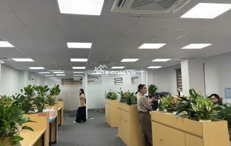 Hiếm bán tòa nhà mặt phố Bà Triệu, Hàng Bài, Hoàn Kiếm DT 75m2, 8 tầng thang máy, có hầm, KD siêu đỉnh cao