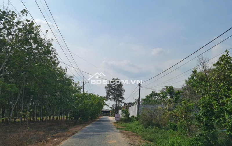 Cần thanh lý trong tháng lô đất HXH đường Phú Thuận, Xã Phú Mỹ Hưng ( nay là xã An Nhơn Tây), Huyện Củ Chi, TP.HCM