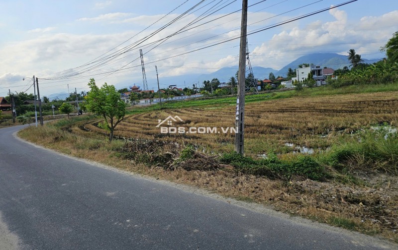 Bán Đất Vàng 2235m² Tại Diên Khánh, Khánh Hòa, ĐL Võ Nguyên Giáp 20m