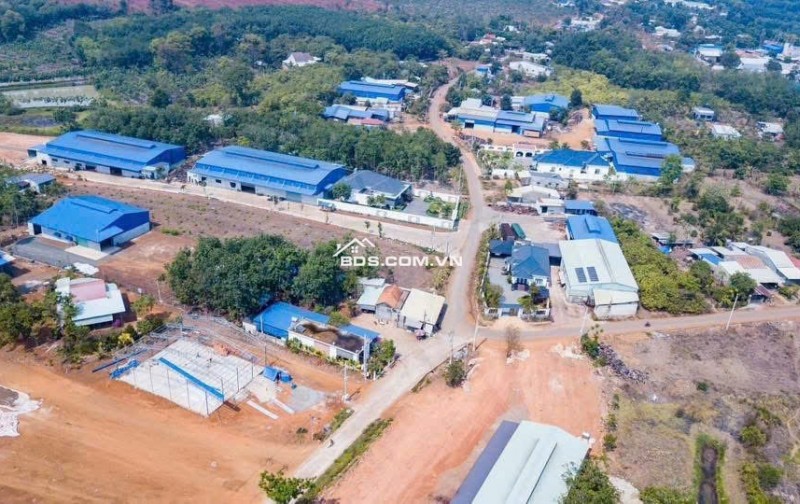  Cần bán đất tại Bình Phước – vị trí đẹp, tiềm năng sinh lời cao 