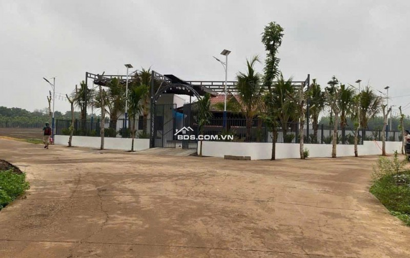  Cần bán đất tại Bình Phước – vị trí đẹp, tiềm năng sinh lời cao 