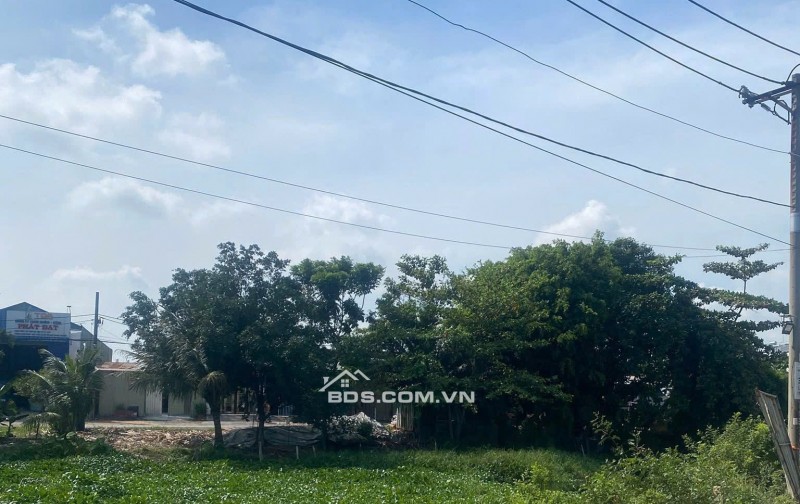 CHÍNH CHỦ BÁN GẤP LÔ ĐẤT 146.8m² - MT TRẦN HẢI PHỤNG, BÌNH TÂN - CHỈ 4.2 TỶ, GIÁ RẺ