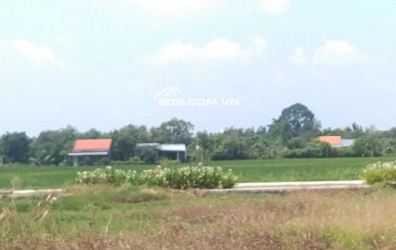 Cần bán gấp lô đất đẹp 126m2-SHR-nằm ở Tân Túc - Giá TL