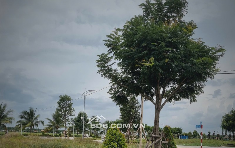 Cần bán gấp lô đất đẹp 100m2 - SHR - gần Chợ Đệm - Giá 1 tỷ 5