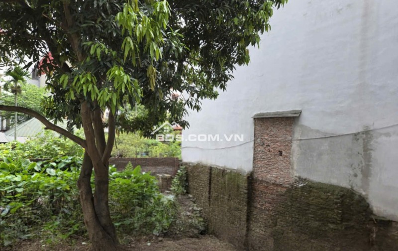 Cơ hội hiếm – Đất Xuân La – Tây Hồ – 90m² – Gần Hồ, giá 13.5 tỷ – Tiềm năng tăng giá mạnh