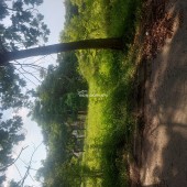 Bán đất Mê Linh, giá rẻ, cần bán gấp