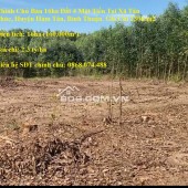 Chính Chủ Bán 16ha Đất 4 Mặt Tiền Tại Xã Tân Phúc, Huyện Hàm Tân, Bình Thuận. Giá Chỉ 230k/m2