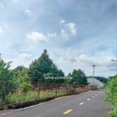 Ôg Anh Đang Kẹt Tiền Nhờ Bán Lô Đất 200m2 Phía Sau Chợ, Có Sổ Sẵn