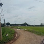 Bán gấp lô đất đẹp Long An