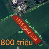 Bán gấp lô đất lúa hai mặt tiền xã Đức Tân giá 800 triệu