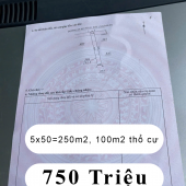 Cơ Hội Sở Hữu Đất Vị Trí Đắc Địa - Lô Đất 250m2, 3 Triệu/m2 -Tiềm Năng Tại An Long, TP.HCM