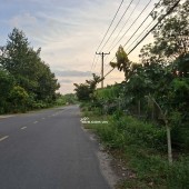 Bán đất mặt tiền đường Phú Thuận, xã An Nhơn Tây, TP.HCM ( Xã Phú Mỹ Hưng, Huyện Củ Chi)