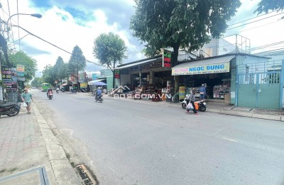 Cho thuê nhà nguyên căn mặt tiền Tỉnh Lộ 10