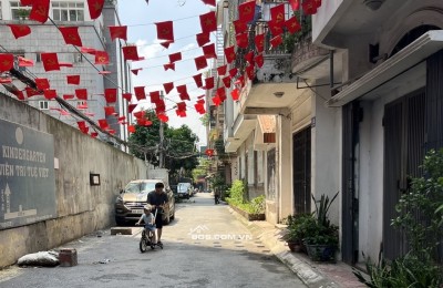 Bán Nhà Phân Lô - Oto - Gần Phố - Hoàng Văn Thái, Thanh Xuân - 46m, 4 Tầng - Nhỉnh 14 Tỷ.