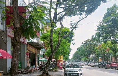 BÁN NHÀ PHÂN LÔ KĐT ĐỊNH CÔNG - GẦN BỆNH VIỆN, UBND PHƯỜNG - VỈA HÈ KINH DOANH - 85M- 5 TẦNG - 22 TỶ