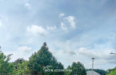 Ôg Anh Đang Kẹt Tiền Nhờ Bán Lô Đất 200m2 Phía Sau Chợ, Có Sổ Sẵn