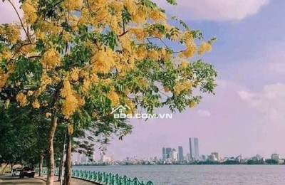 CC B.ÁN N.HÀ XUÂN LA TÂY HÔ (C th máy)TÂY HỒ OTO KD Dt 35mx6T Mỹ 4.6m 10.95 Tỷ Có TL