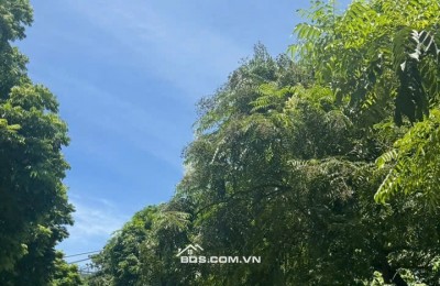 TRUNG TÂM BA ĐÌNH - NHÀ MỚI ĐẸP - THANG MÁY - Ô TÔ VÀO NHÀ - 5 TẦNG - 55M