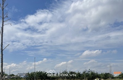 Bán Gấp Đất Chợ Cần Đước Mặt Tiền Trần Hưng Đạo Giá 1,5 Tỷ
