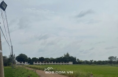Bán gấp lô đất đẹp Long An