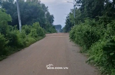 Chủ cần bán gấp đất vườn Bàu chinh Châu đức BRVT