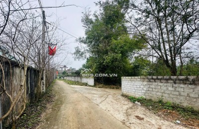 Chính chủ cần bán đất thổ cư thôn Suối Sếu - Nhuận Trạch
