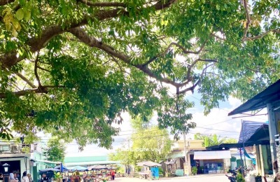 ĐẤT VÀNG TRUNG TÂM NAM PHƯỚC GẦN CHỢ TRƯỜNG HỌC GIÁ CHỈ TỪ 680 TRIỆU