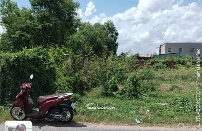 Bán đất Đường DT 14, Xã Long Thượng, Cần Giuộc