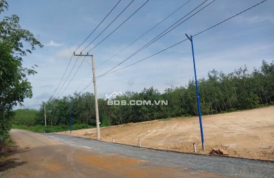BÁN SIÊU PHẨM ĐẤT NỀN LONG HÀ PHÚ RIỀNG BÌNH PHƯỚC  GIÁ CHỈ 90 TRIỆU