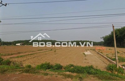BÁN ĐẤT NỀN MẶT TIỀN ĐƯỜNG XUYÊN TÂM ĐỒNG PHÚ BÌNH PHƯỚC GIÁ CHỈ 3XX