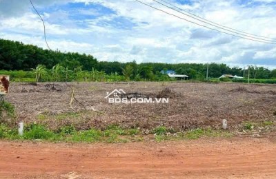  490 TRIỆU – BÁN GẤP 2000m² ĐẤT GẦN ĐƯỜNG 65M 