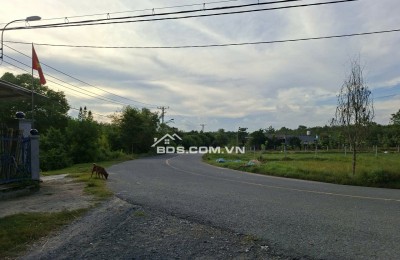Cần sang gấp lô đất cực đẹp tại hẻm xe tải đường Phú Thuận, xã Phú Mỹ Hưng, huyện Củ Chi, TP.HCM
