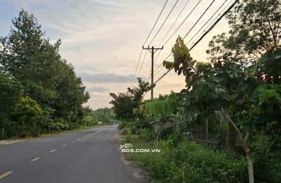 Bán đất mặt tiền đường Phú Thuận, xã An Nhơn Tây, TP.HCM ( Xã Phú Mỹ Hưng, Huyện Củ Chi)