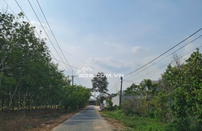 Cần thanh lý trong tháng lô đất HXH đường Phú Thuận, Xã Phú Mỹ Hưng ( nay là xã An Nhơn Tây), Huyện Củ Chi, TP.HCM