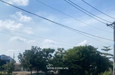 CHÍNH CHỦ BÁN GẤP LÔ ĐẤT 146.8m² - MT TRẦN HẢI PHỤNG, BÌNH TÂN - CHỈ 4.2 TỶ, GIÁ RẺ