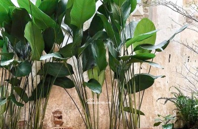 28 Triệu: thuê nguyên căn Quận 1- ĐIỆN BIÊN PHỦ CMT8- cao 5 tầng thông suốt có Lửng. VŨ 0933910039