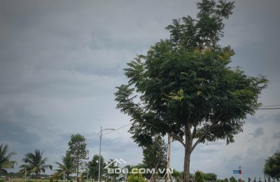 Cần bán gấp lô đất đẹp 100m2 - SHR - gần Chợ Đệm - Giá 1 tỷ 5
