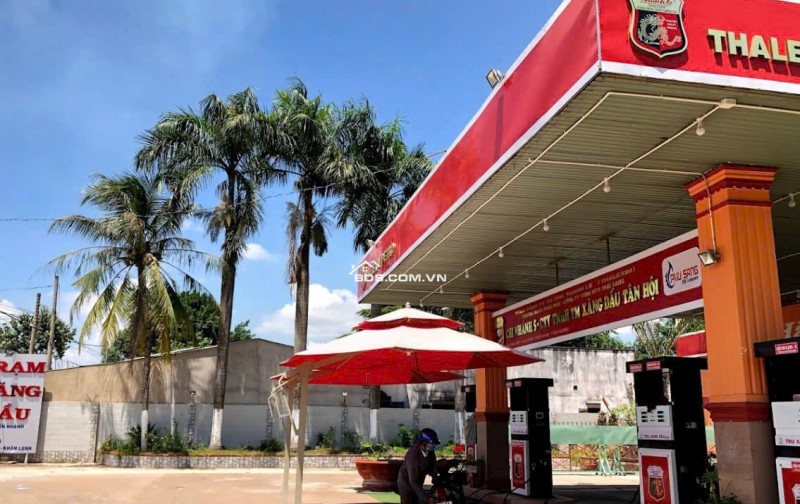 KẸT TIỀN BÁN GẤP 25X50=1250M2 ĐẤT THỔ CƯ, SHR NẰM NGAY TRUNG TÂM. GIÁ 195TR