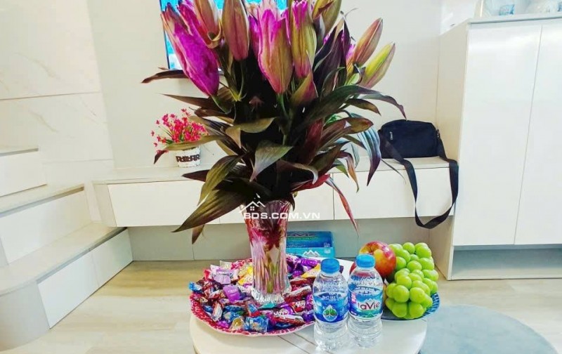 Nhà Đẹp Gần Đường Bạch Mai, Hai Bà Trưng 35m, tầng 1, giá 2,75 tỷ