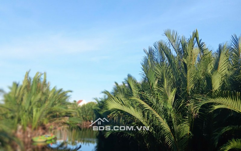 BÁN NHÀ 3 TẦNG – KINH DOANH DU LỊCH TRONG VƯỜN DỪA 7 MẪU – CẨM THANH, HỘI AN