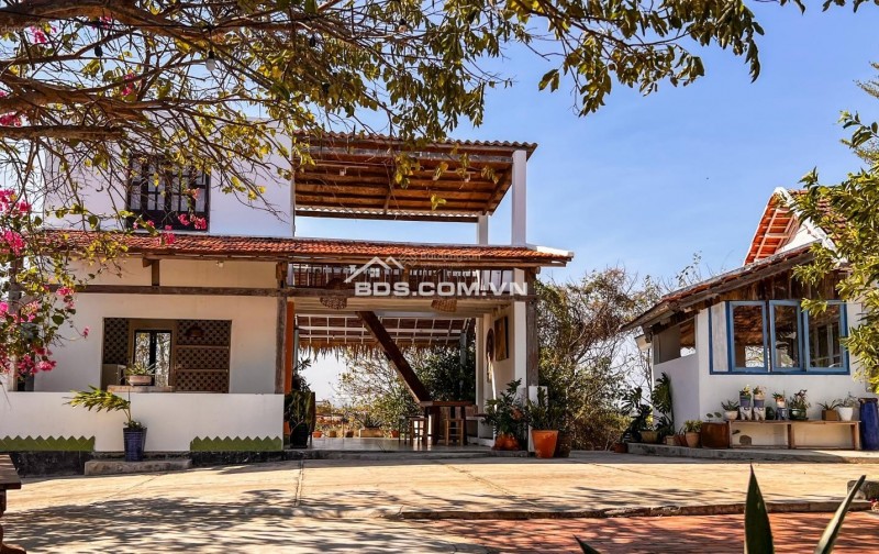 SIÊU HOT – BÁN HOMESTAY ĐỒI CAO VIEW BIỂN, ĐANG KINH DOANH HIỆU QUẢ – DÒNG TIỀN 80-120 TRIỆU/THÁNG
