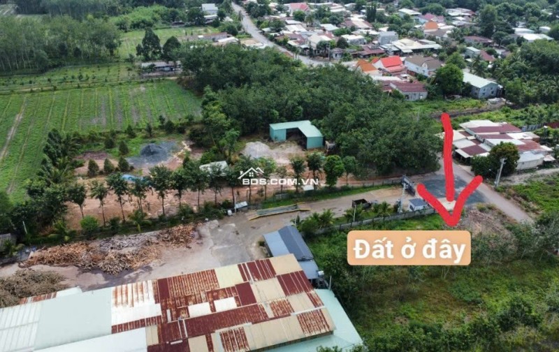 Bán Đất Minh Hoà Dầu Tiếng liền kề dân cư 600m2 giá chỉ 300tr