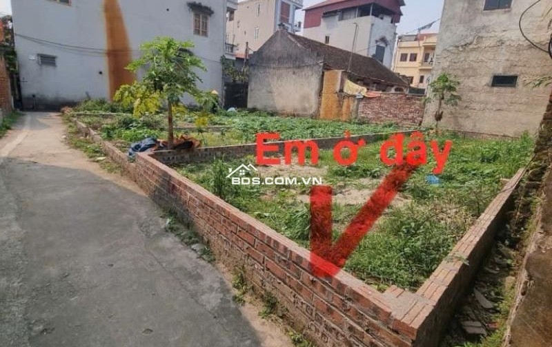  NHỈNH 2 TỶ – THỤY LÂM, ĐẤT FULL THỔ CƯ – NGÕ BA GÁC THÔNG – CÁCH Ô TÔ 20M – GẦN KHU ĐẤU GIÁ 