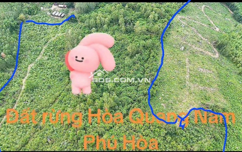 Cần Bán 5,1ha Đất Thôn Phú Thạnh, Xã Hòa Quang Nam, Huyện Phú Hòa, Tỉnh Phú Yên (nay thuộc Đắk Lắk)
